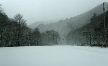 仙人峠地吹雪